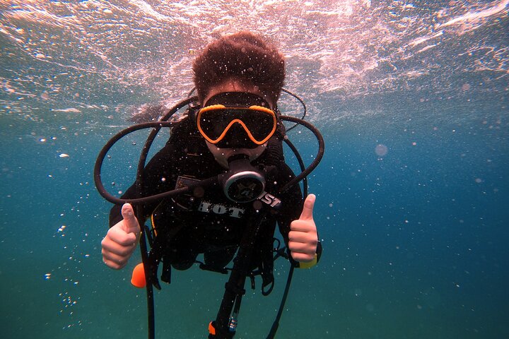 Aventura privada de buceo en el Mar Rojo, Aqaba, Jordania, explorando la vida marina y naufragios, foto 18 | wizardtrip