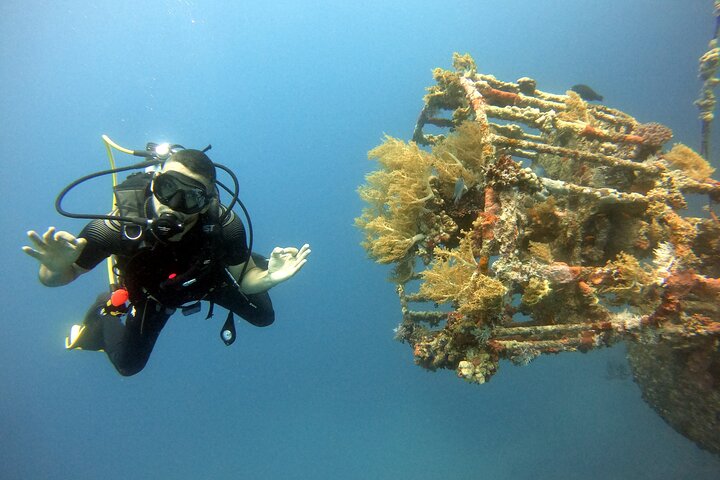 Aventura privada de buceo en el Mar Rojo, Aqaba, Jordania, explorando la vida marina y naufragios, foto 22 | wizardtrip