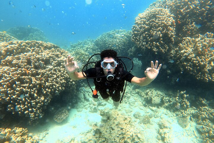 Aventura privada de buceo en el Mar Rojo, Aqaba, Jordania, explorando la vida marina y naufragios, foto 23 | wizardtrip