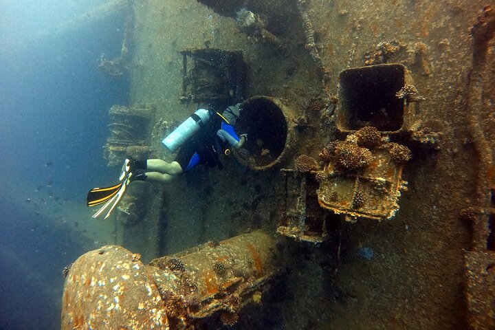 Aventura privada de buceo en el Mar Rojo, Aqaba, Jordania, explorando la vida marina y naufragios, foto 25 | wizardtrip