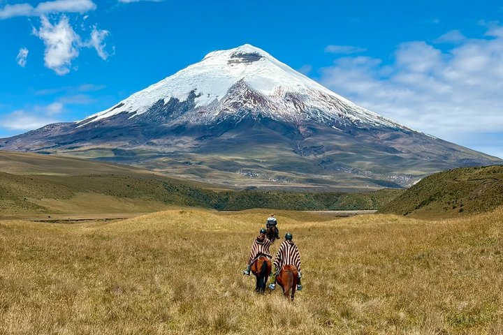 Cotopaxi-Tour ab Quito: Reittour und Wanderung | wizardtrip