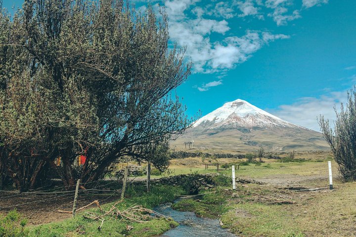 Ausritt und Wanderung im Cotopaxi-Nationalpark, Ecuador, Foto 17 | wizardtrip