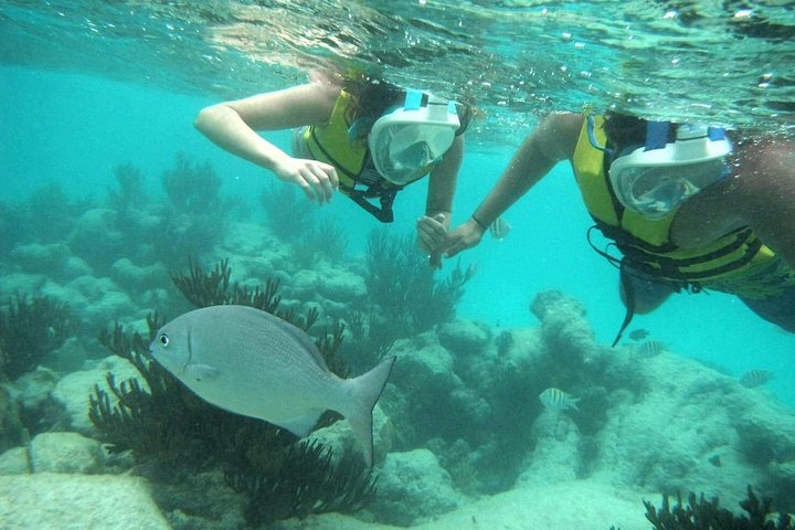Esplora rovine Maya, nuota in un cenote e fai snorkeling con tartarughe marine in un tour di un'intera giornata da Playa del Carmen, foto 13 | wizardtrip