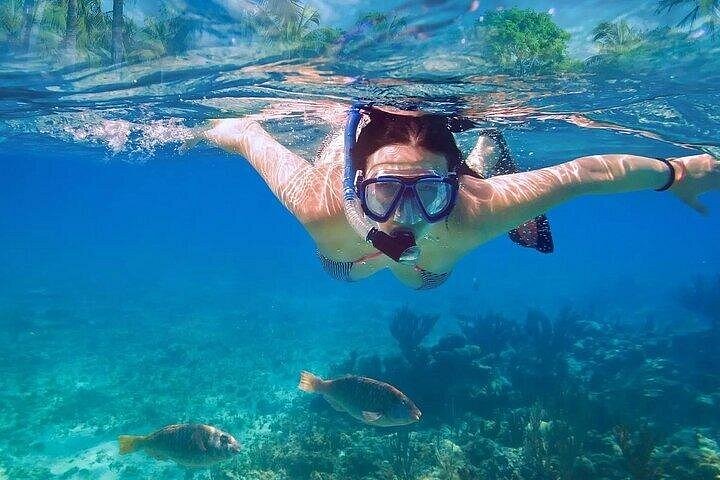 Esplora rovine Maya, nuota in un cenote e fai snorkeling con tartarughe marine in un tour di un'intera giornata da Playa del Carmen, foto 14 | wizardtrip