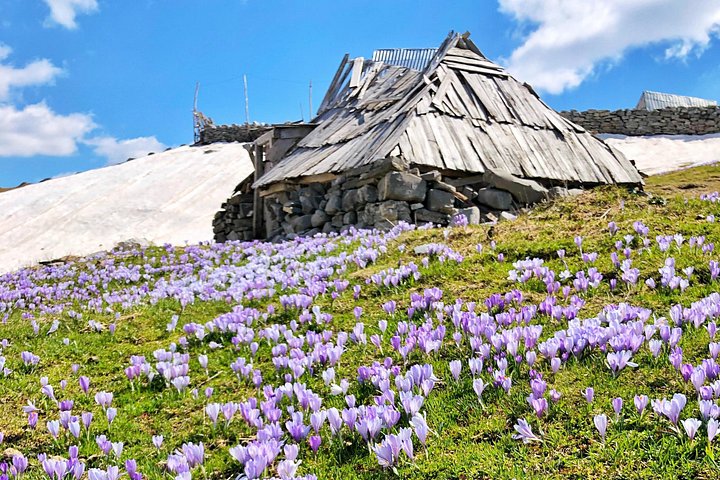 Naturskjønn tur i Montenegros fjell, canyoner og klostre, foto 6 | wizardtrip