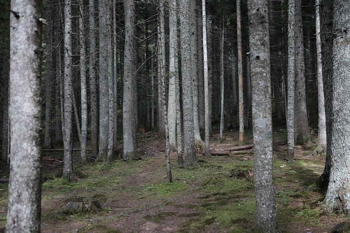 Naturskjønn tur i Montenegros fjell, canyoner og klostre, foto 15 | wizardtrip