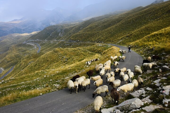 Naturskjønn tur i Montenegros fjell, canyoner og klostre, foto 30 | wizardtrip