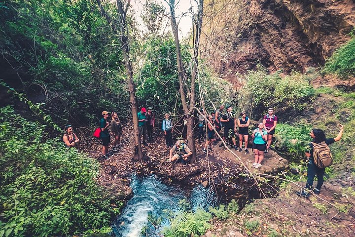 Explore Gran Canaria's rainforest, ravines, and natural pools on a full-day guided tour with tastings, photo 6 | wizardtrip
