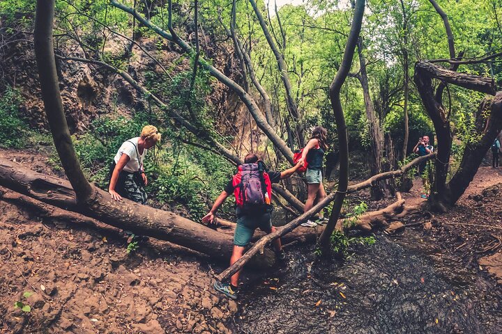 Explore Gran Canaria's rainforest, ravines, and natural pools on a full-day guided tour with tastings, photo 7 | wizardtrip