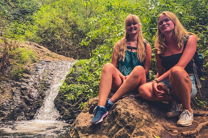 Explore Gran Canaria's rainforest, ravines, and natural pools on a full-day guided tour with tastings, photo 8 | wizardtrip