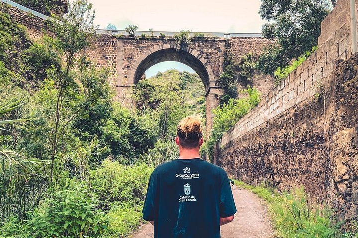 Explore Gran Canaria's rainforest, ravines, and natural pools on a full-day guided tour with tastings, photo 11 | wizardtrip