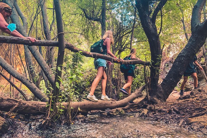 Explore Gran Canaria's rainforest, ravines, and natural pools on a full-day guided tour with tastings, photo 13 | wizardtrip