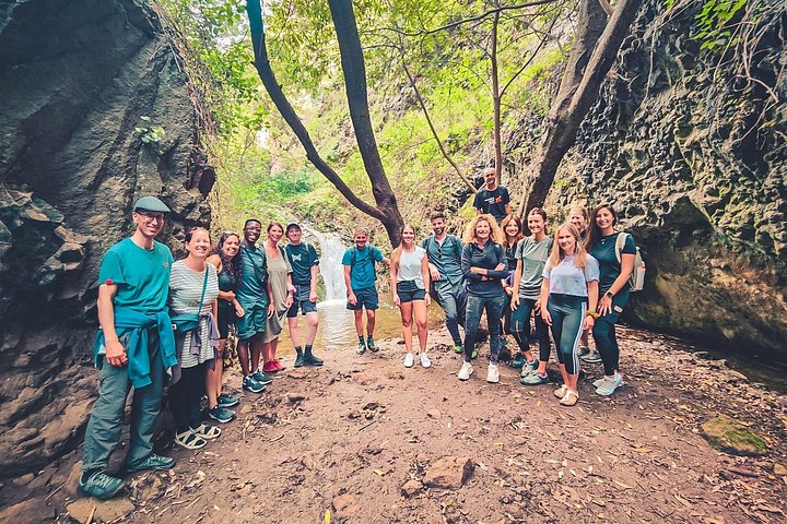 Explore Gran Canaria's rainforest, ravines, and natural pools on a full-day guided tour with tastings, photo 15 | wizardtrip