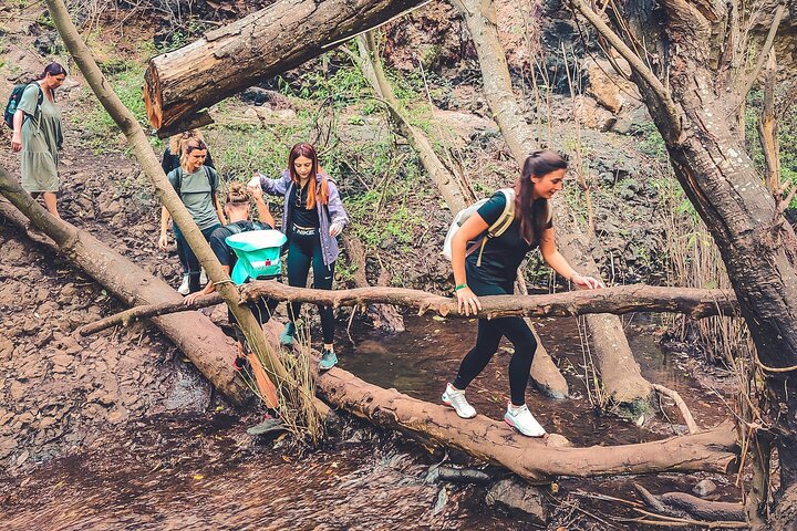 Explore Gran Canaria's rainforest, ravines, and natural pools on a full-day guided tour with tastings, photo 16 | wizardtrip
