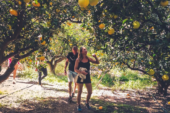 Explore Gran Canaria's rainforest, ravines, and natural pools on a full-day guided tour with tastings, photo 17 | wizardtrip