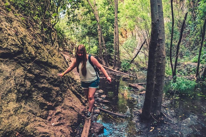 Explore Gran Canaria's rainforest, ravines, and natural pools on a full-day guided tour with tastings, photo 18 | wizardtrip
