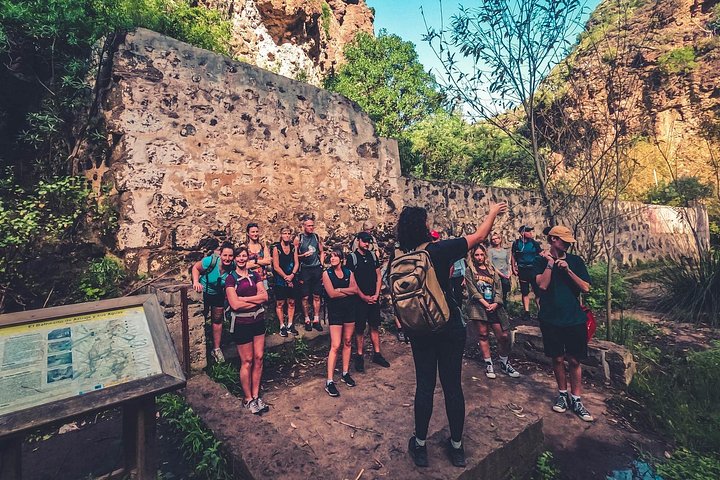 Explore Gran Canaria's rainforest, ravines, and natural pools on a full-day guided tour with tastings, photo 22 | wizardtrip