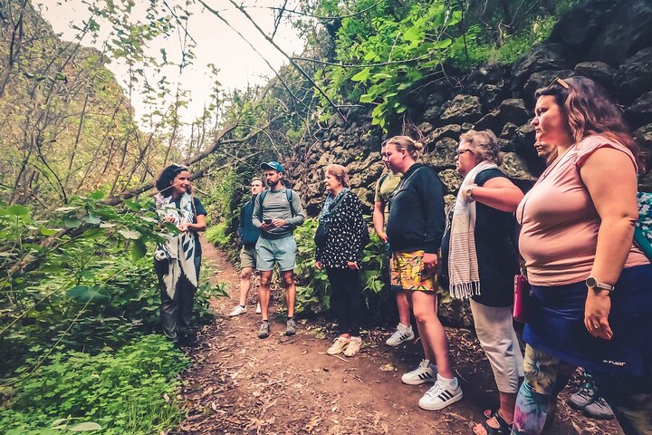 Explore Gran Canaria's rainforest, ravines, and natural pools on a full-day guided tour with tastings, photo 23 | wizardtrip