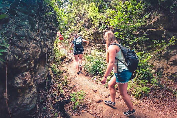 Explore Gran Canaria's rainforest, ravines, and natural pools on a full-day guided tour with tastings, photo 24 | wizardtrip
