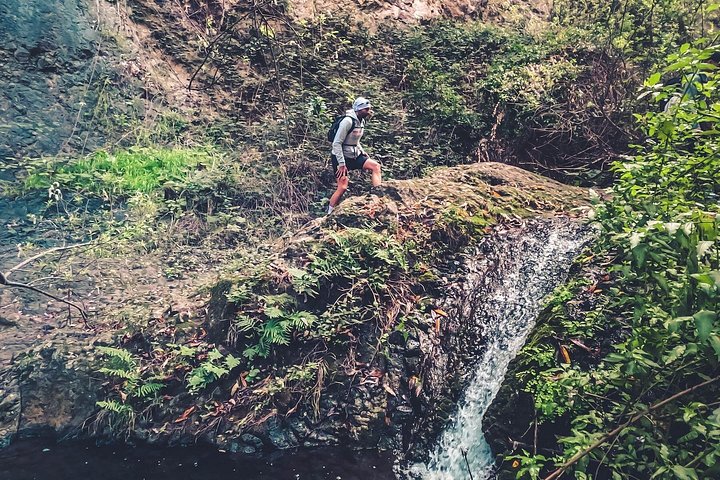 Explore Gran Canaria's rainforest, ravines, and natural pools on a full-day guided tour with tastings, photo 25 | wizardtrip