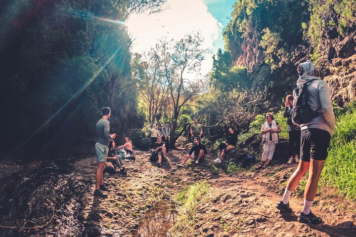 Explore Gran Canaria's rainforest, ravines, and natural pools on a full-day guided tour with tastings, photo 26 | wizardtrip