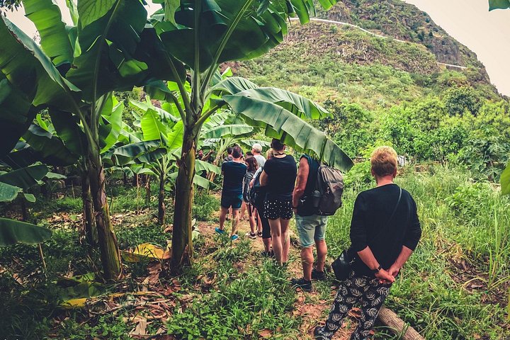 Explore Gran Canaria's rainforest, ravines, and natural pools on a full-day guided tour with tastings, photo 28 | wizardtrip