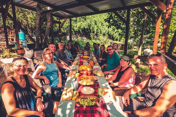 Explore Gran Canaria's rainforest, ravines, and natural pools on a full-day guided tour with tastings, photo 29 | wizardtrip