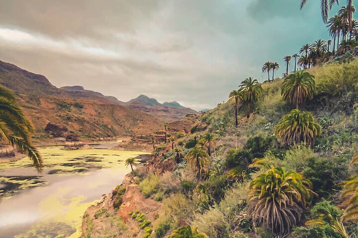 Verken Gran Canaria's Rode Canyon, vulkanische landschappen en kustdorpen tijdens een begeleide tour met lokale proeverij, foto 14 | wizardtrip