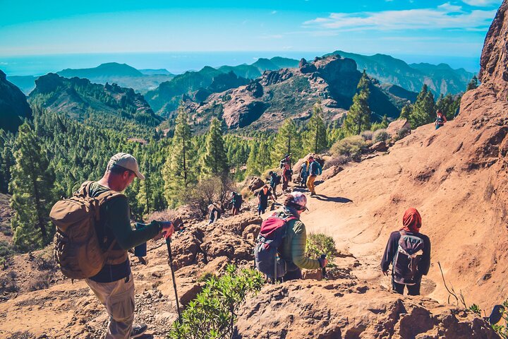 グランカナリア島のツアーでの火山景観、ハイキング、夕日の景色、写真14 | wizardtrip