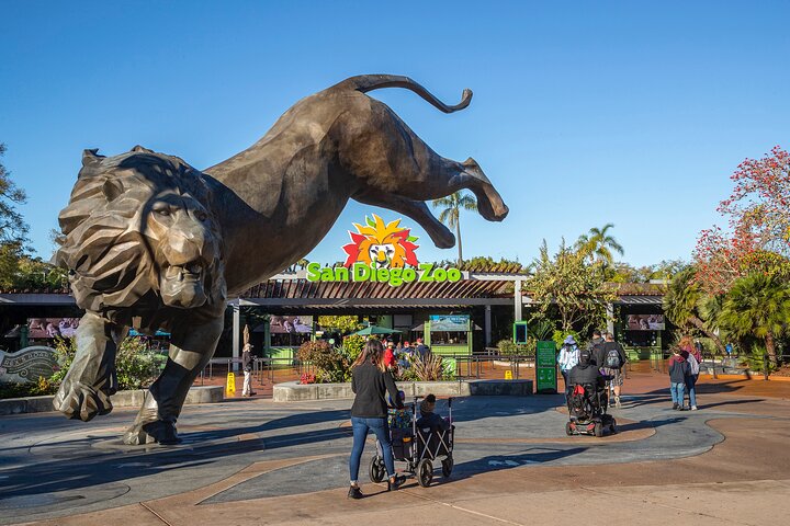 Lo Zoo di San Diego offre una vivace esposizione di animali e piante in un bellissimo parco, foto 7 | wizardtrip