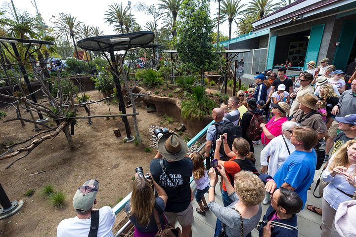 Lo Zoo di San Diego offre una vivace esposizione di animali e piante in un bellissimo parco, foto 12 | wizardtrip
