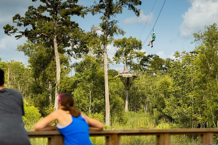 Avventura in zipline nella palude di New Orleans, con vista sulla fauna selvatica e sugli alberi di cipresso, foto 6 | wizardtrip