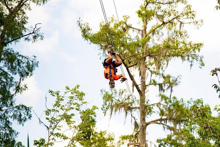 Avventura in zipline nella palude di New Orleans, con vista sulla fauna selvatica e sugli alberi di cipresso, foto 8 | wizardtrip