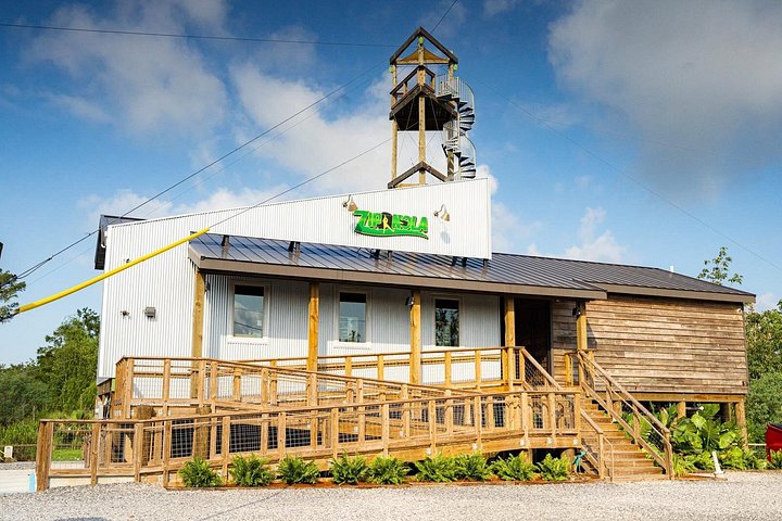 Avventura in zipline nella palude di New Orleans, con vista sulla fauna selvatica e sugli alberi di cipresso, foto 9 | wizardtrip