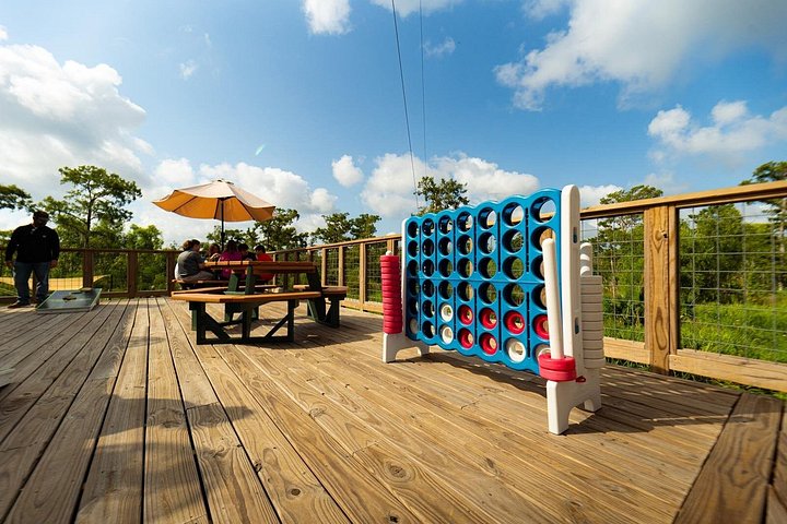 Avventura in zipline nella palude di New Orleans, con vista sulla fauna selvatica e sugli alberi di cipresso, foto 10 | wizardtrip
