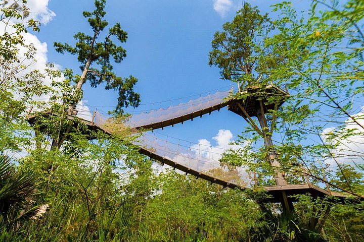 Avventura in zipline nella palude di New Orleans, con vista sulla fauna selvatica e sugli alberi di cipresso, foto 13 | wizardtrip