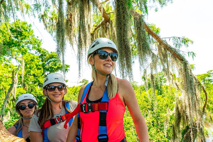 Avventura in zipline nella palude di New Orleans, con vista sulla fauna selvatica e sugli alberi di cipresso, foto 16 | wizardtrip