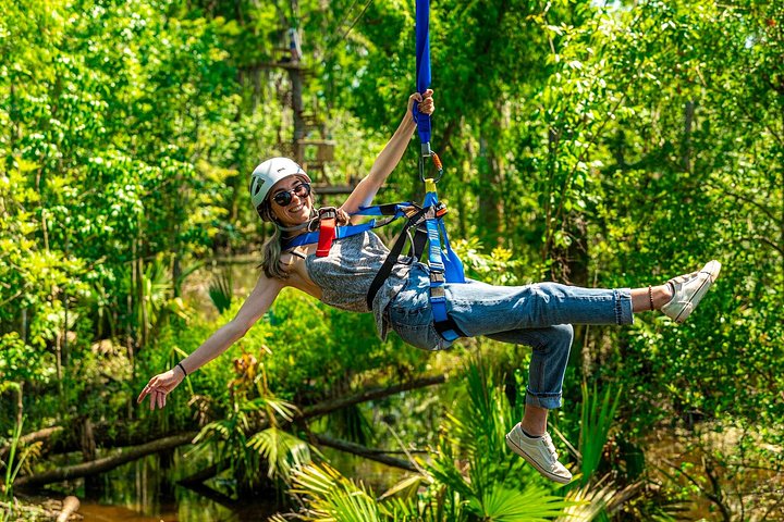 Avventura in zipline nella palude di New Orleans, con vista sulla fauna selvatica e sugli alberi di cipresso, foto 18 | wizardtrip