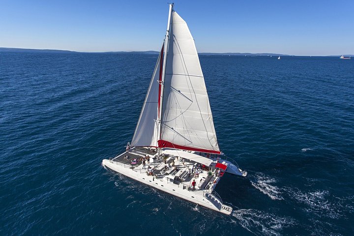 Tour in catamarano all'Isola di Taboga da Panama City, con nuoto, prendere il sole e intrattenimento a bordo, foto 9 | wizardtrip