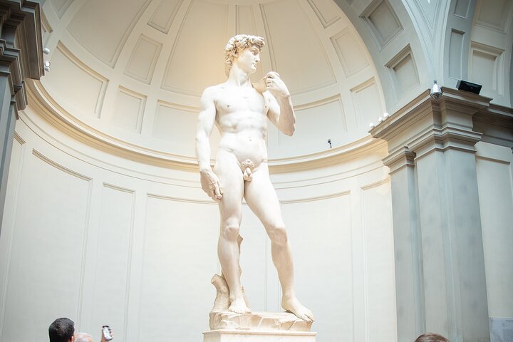 Accademia Gallery tour in Florence, featuring Michelangelo's David and Renaissance art, photo 1 | wizardtrip