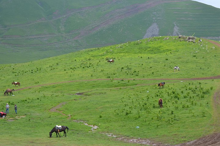 Tour panoramico della Strada Militare Georgiana con il Castello di Ananuri, Gudauri e la Chiesa della Trinità di Gergeti vicino al Monte Kazbegi, foto 23 | wizardtrip
