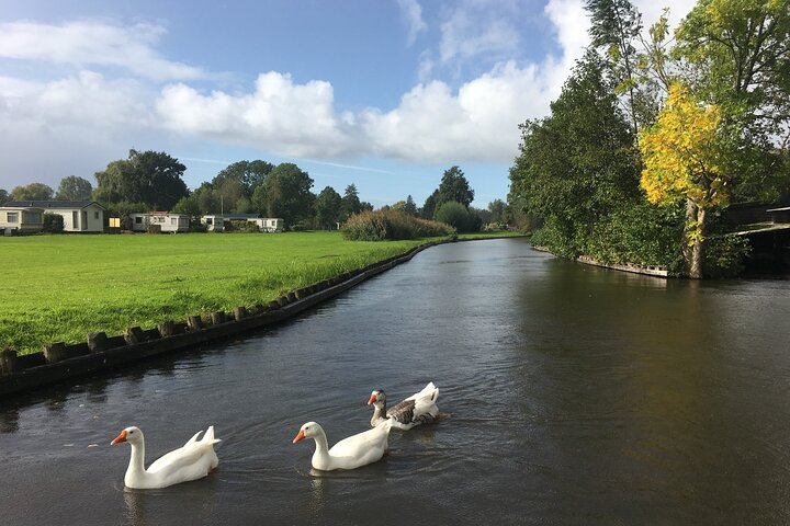 Tour di piccolo gruppo da Amsterdam ai mulini a vento di Zaanse Schans e al villaggio di Giethoorn, foto 11 | wizardtrip
