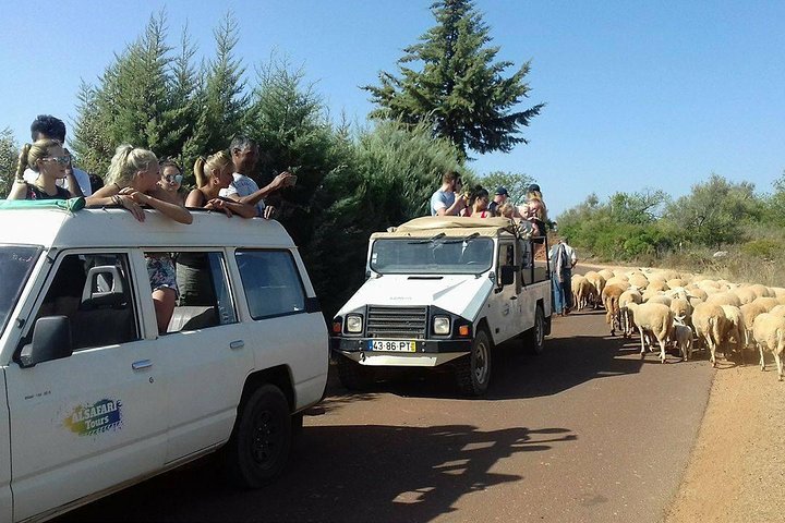 Half-Day Algarve Countryside and Villages Jeep Safari | wizardtrip