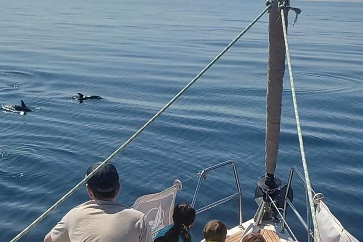 Nyd en naturskøn sejltur i Malaga, spot delfiner og slap af med drinks, foto 7 | wizardtrip