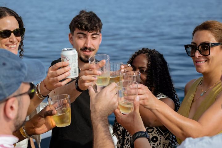 Nyd en naturskøn sejltur i Malaga, spot delfiner og slap af med drinks, foto 11 | wizardtrip
