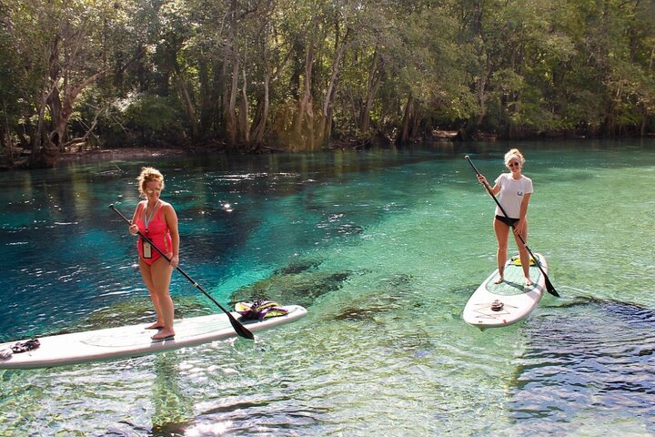 Sejl kajak og snorkel i det klare, kølige vand ved Cypress Springs på en øko-eventyrtur fra Panama City Beach, foto 6 | wizardtrip
