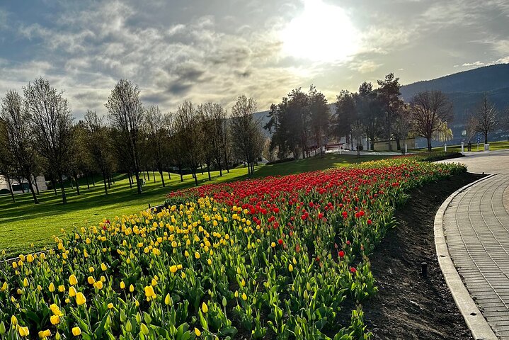 Un tour gastronómico guiado a pie en Kelowna, Canadá, con cocina local y sitios culturales, foto 33 | wizardtrip
