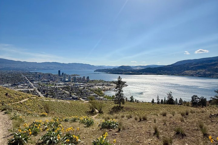 Un tour gastronómico guiado a pie en Kelowna, Canadá, con cocina local y sitios culturales, foto 48 | wizardtrip