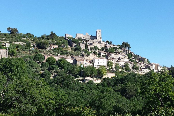 Tour panorámico de pueblos de la Provenza y acueducto romano desde Aviñón, foto 7 | wizardtrip