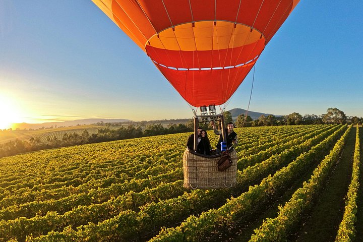 Volo in mongolfiera all'alba sopra i vigneti della Yarra Valley, Melbourne, Australia, foto 9 | wizardtrip